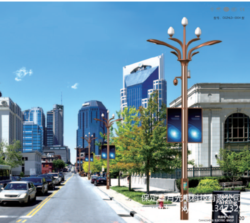 智慧路燈ZH2054 智慧路燈ZH2054